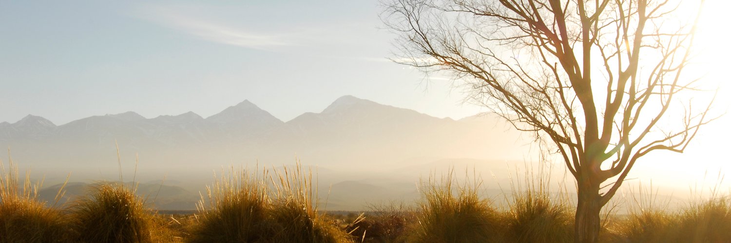 martinguli's profile banner image