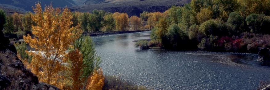 ID Fish & Wildlife banner