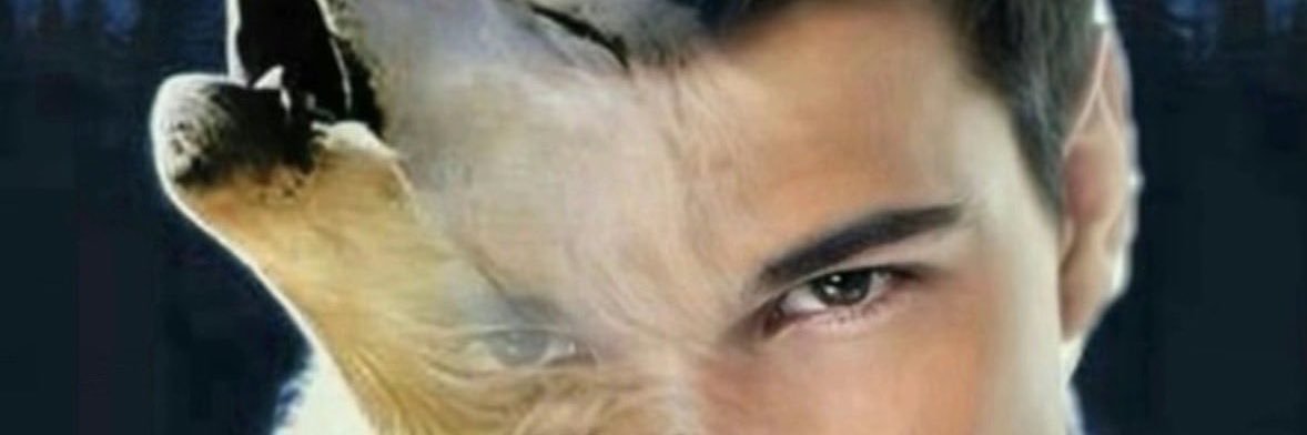 Pelleaamann's profile banner image