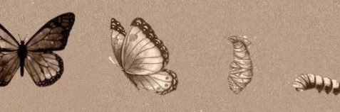 bahacolakoglu11's profile banner image