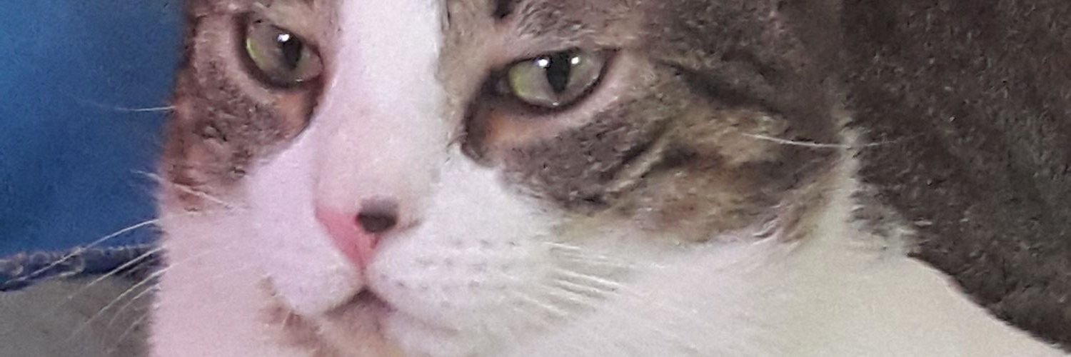 Julietp287's profile banner image