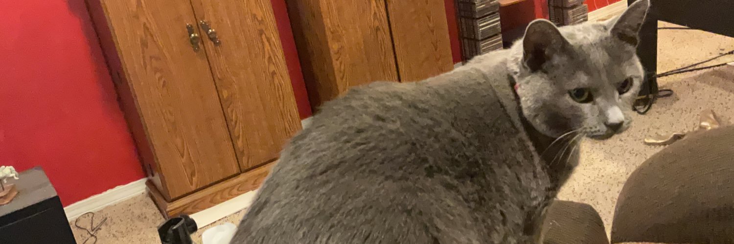mitchy71's profile banner image