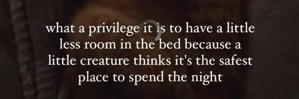 JustCallMeGin banner