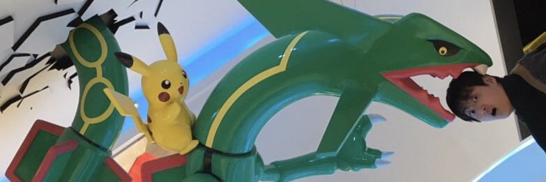 WtgrsRyo's profile banner image