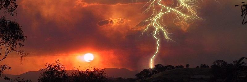 Igor The Giant banner