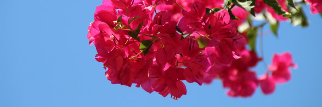 Me_Emeline's profile banner image