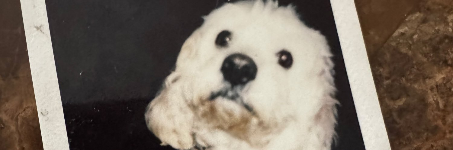 DaVyne_'s profile banner image