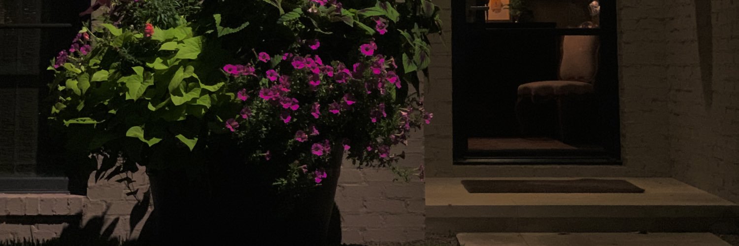 Internetcular's profile banner image