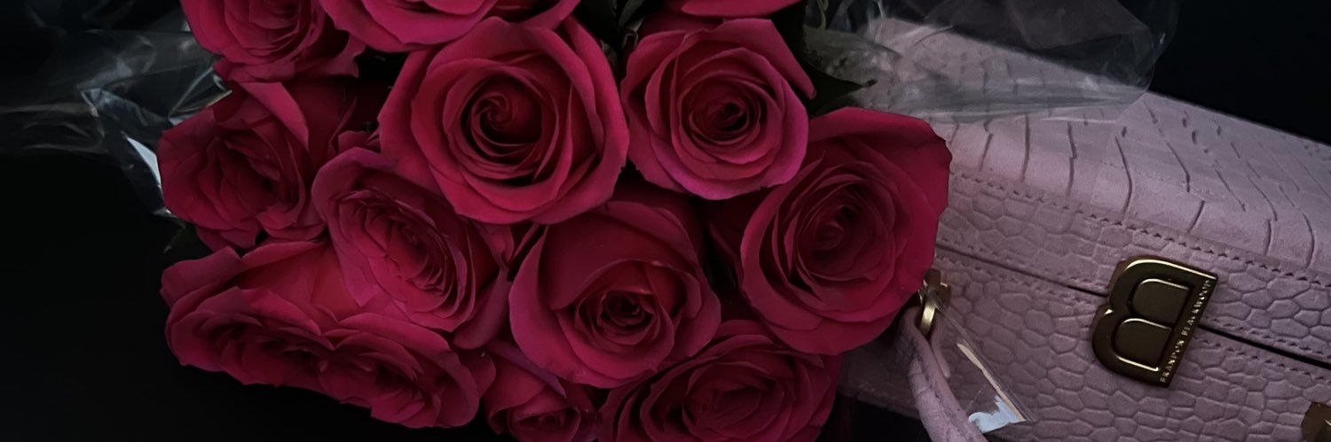 SheIsBreanna's profile banner image