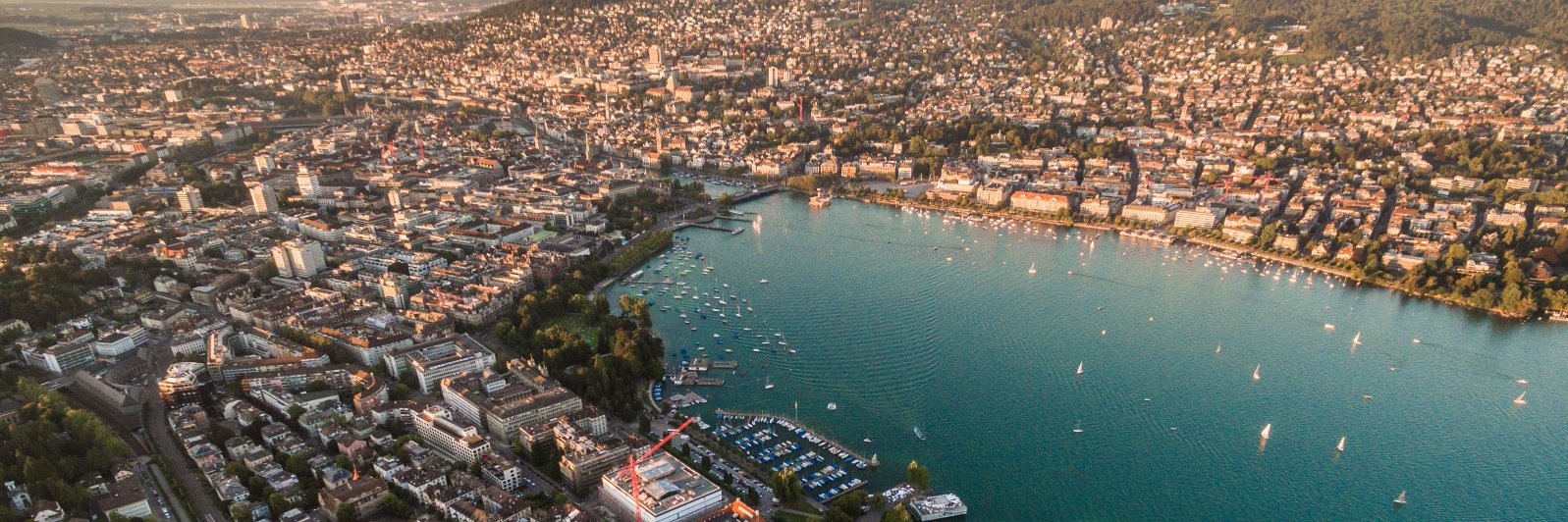 Michael Burri banner