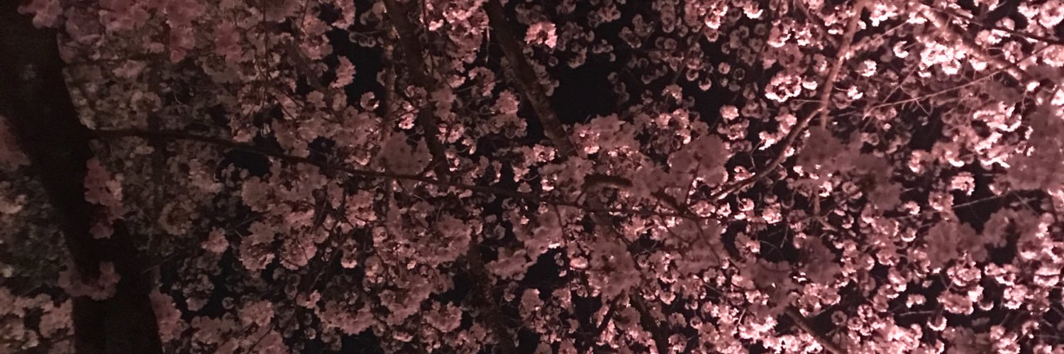 g2Panda's profile banner image