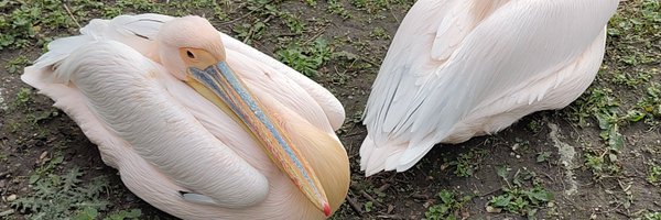 wendyg Profile Banner