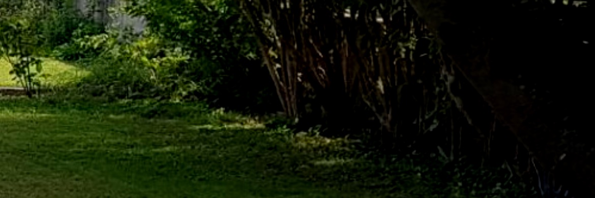 nico3364's profile banner image