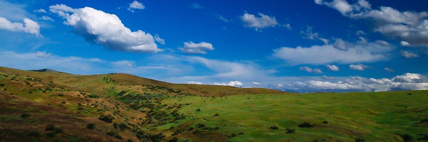 MFMG's profile banner image