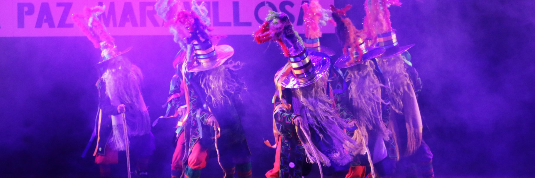 companiacidebol's profile banner image