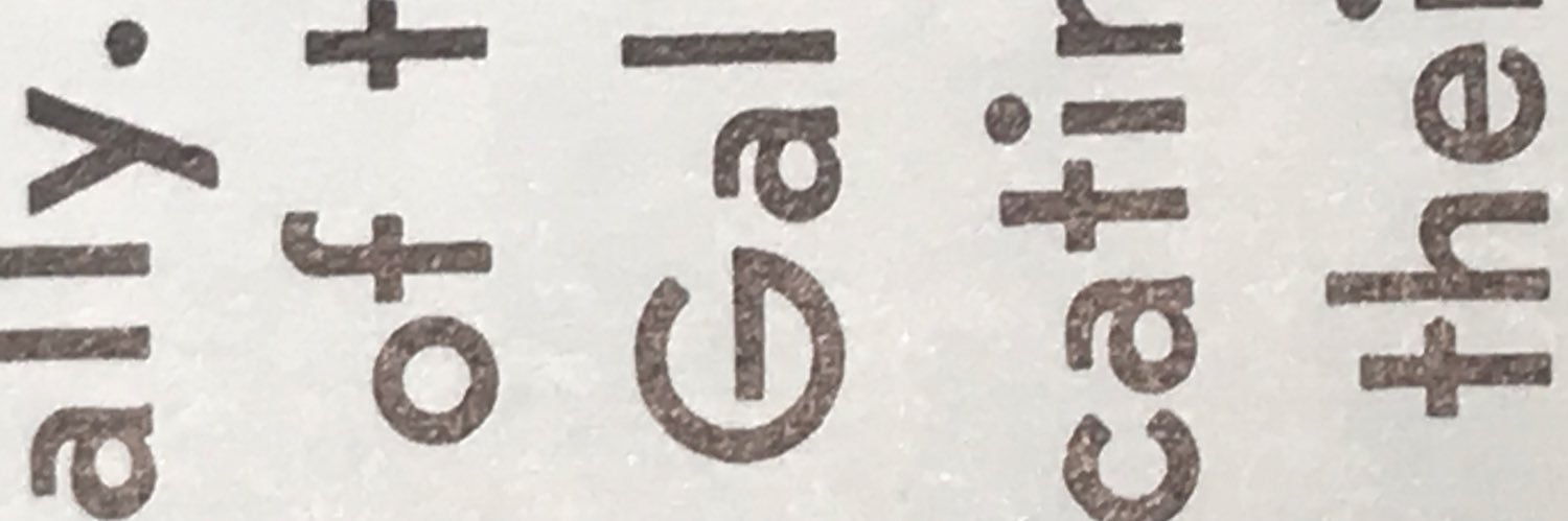 saar demeuse banner