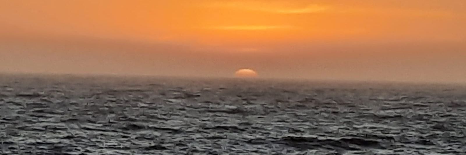 𑁍ᑭᗩT ♀️🟣 banner