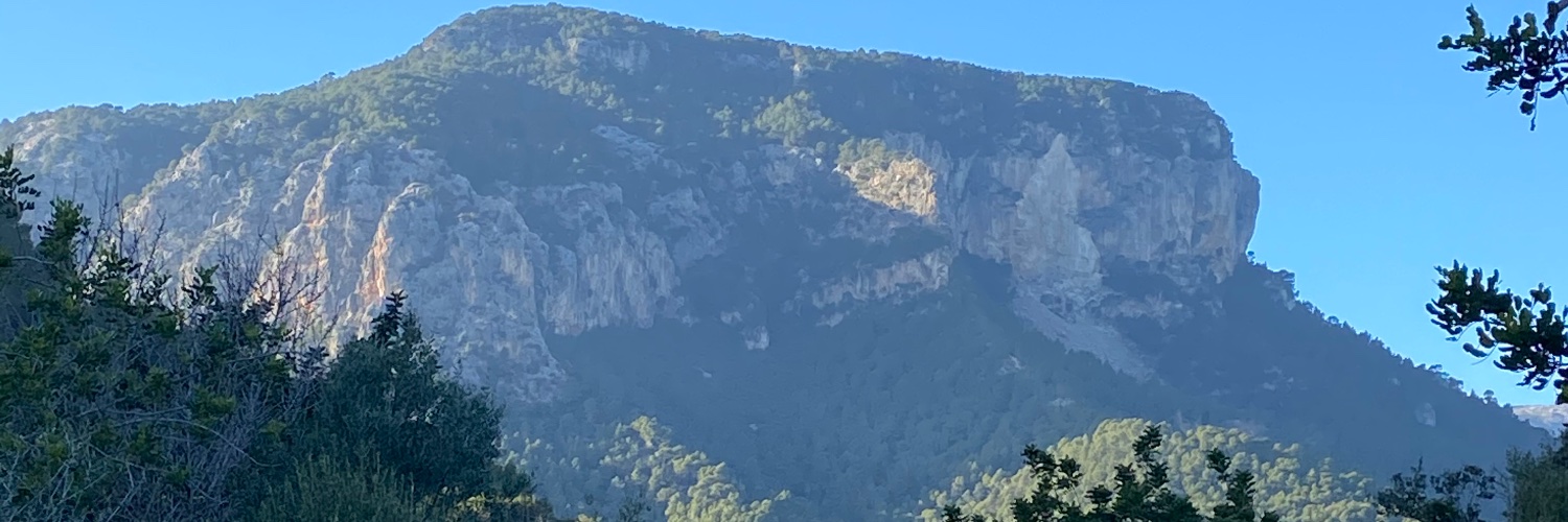 mariadroa's profile banner image