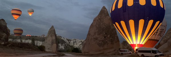 laurarocha Profile Banner