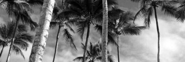 MeloSteph's profile banner image