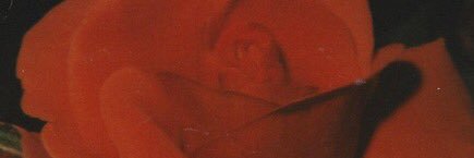 dreszt banner