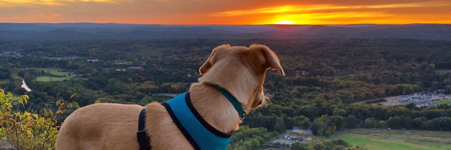 Mlawlor18's profile banner image