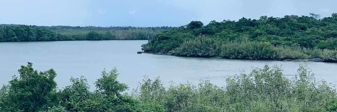 Mafoudia Bangoura banner