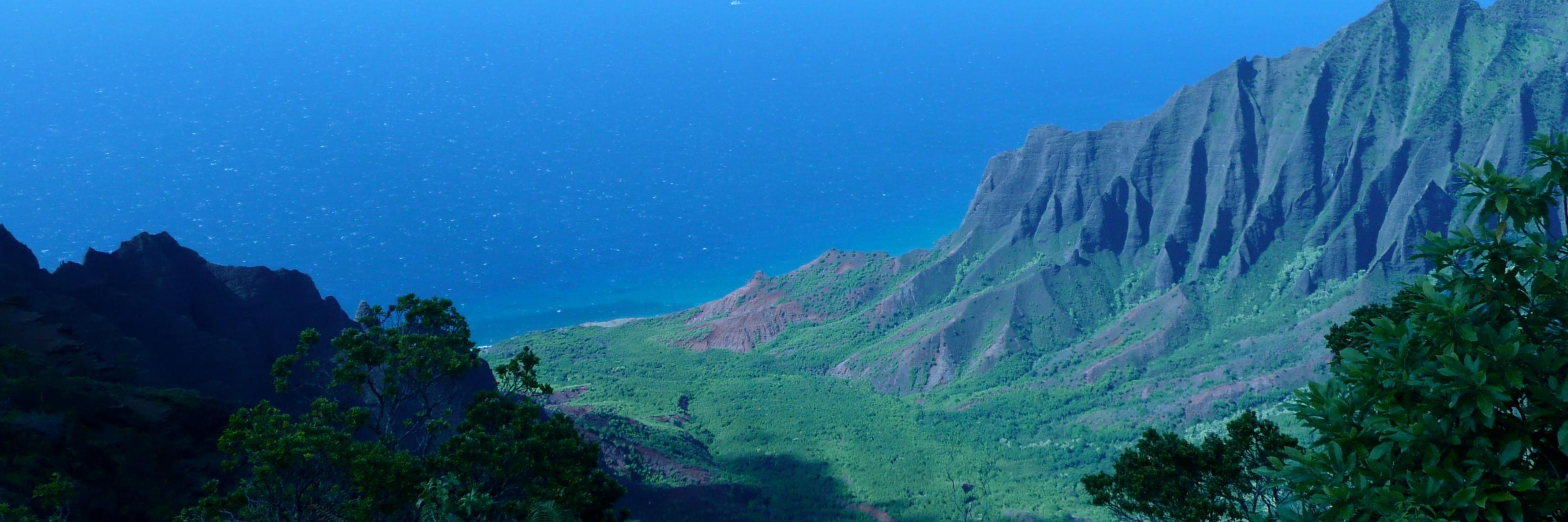 aMikeGreen's profile banner image