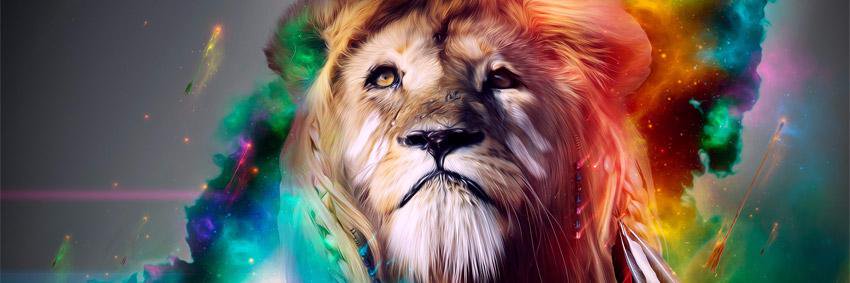 djgalXOX's profile banner image