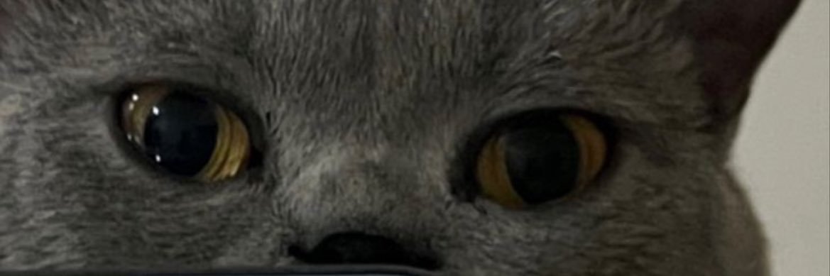 bilal_d_'s profile banner image