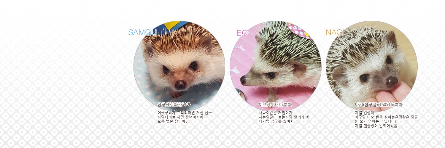 고슴도치 삼구&이오&나기 banner