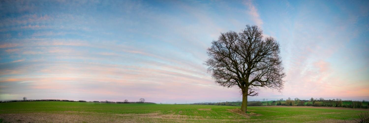 bosworthoak's profile banner image