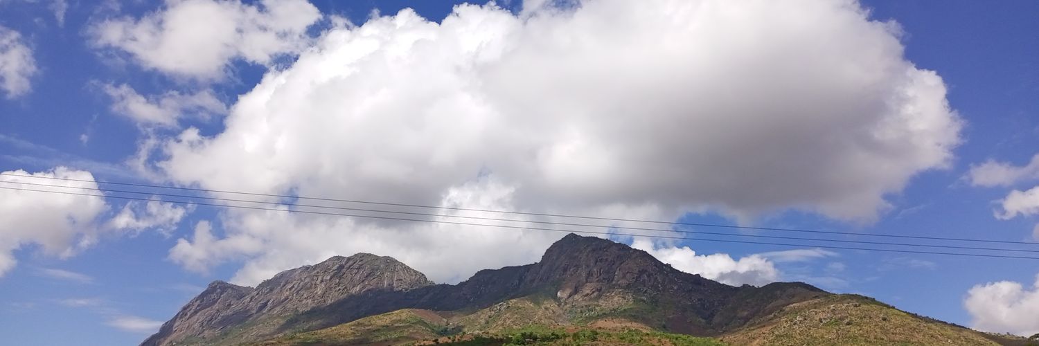limbieCheonga's profile banner image