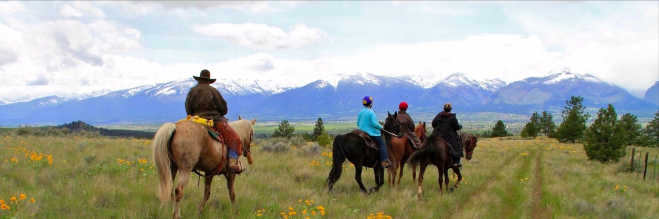 DunrovinRanch's profile banner image