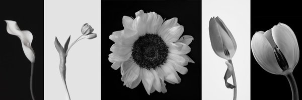 TakinShot Profile Banner