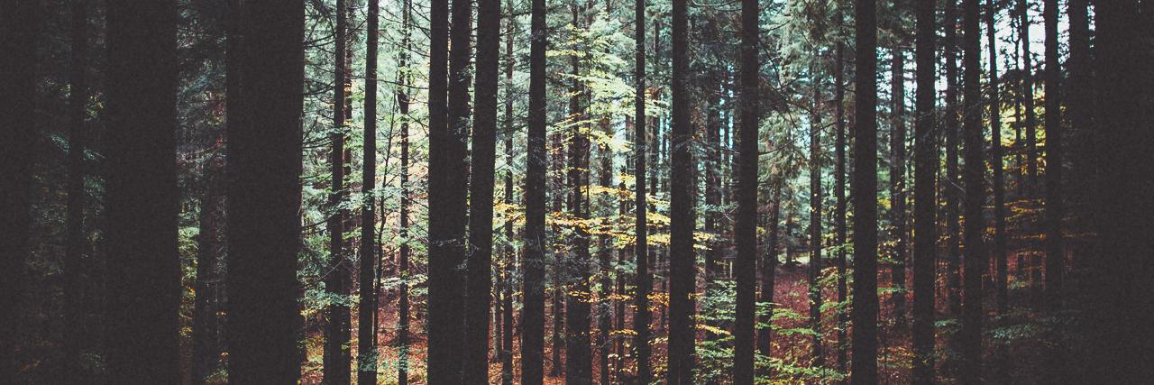 LydiaNotten's profile banner image