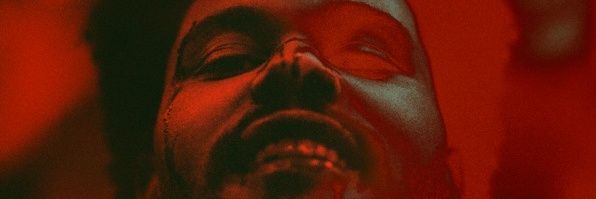 That Black Landlord banner