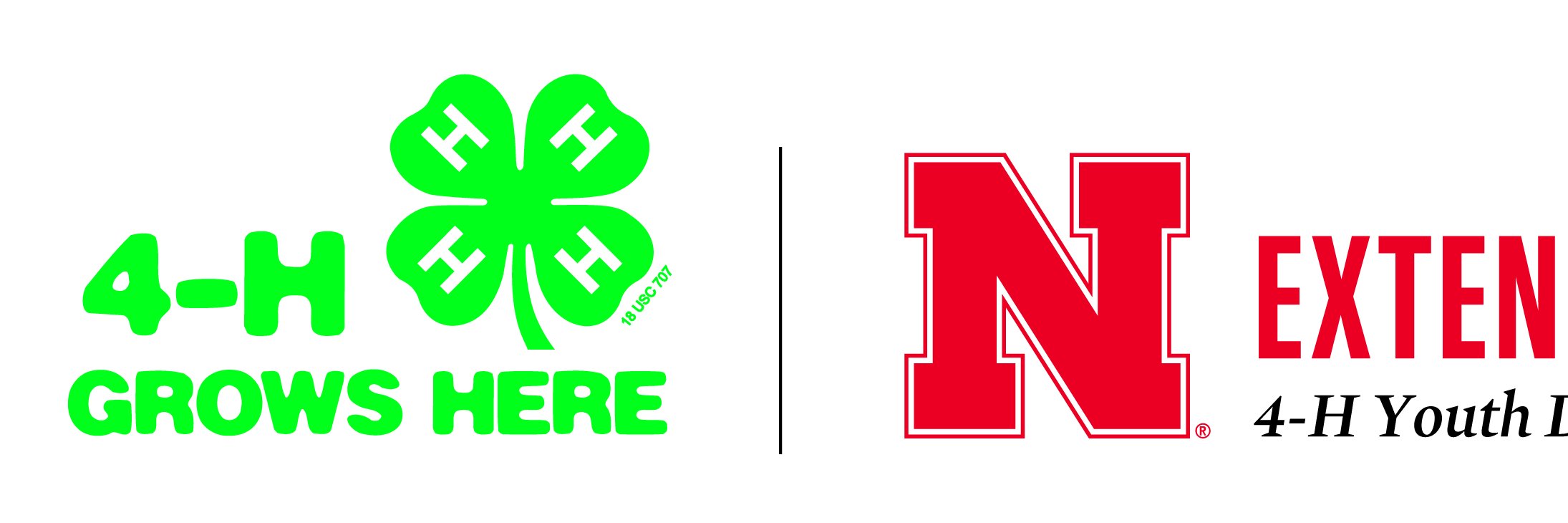 Hall County 4-H banner