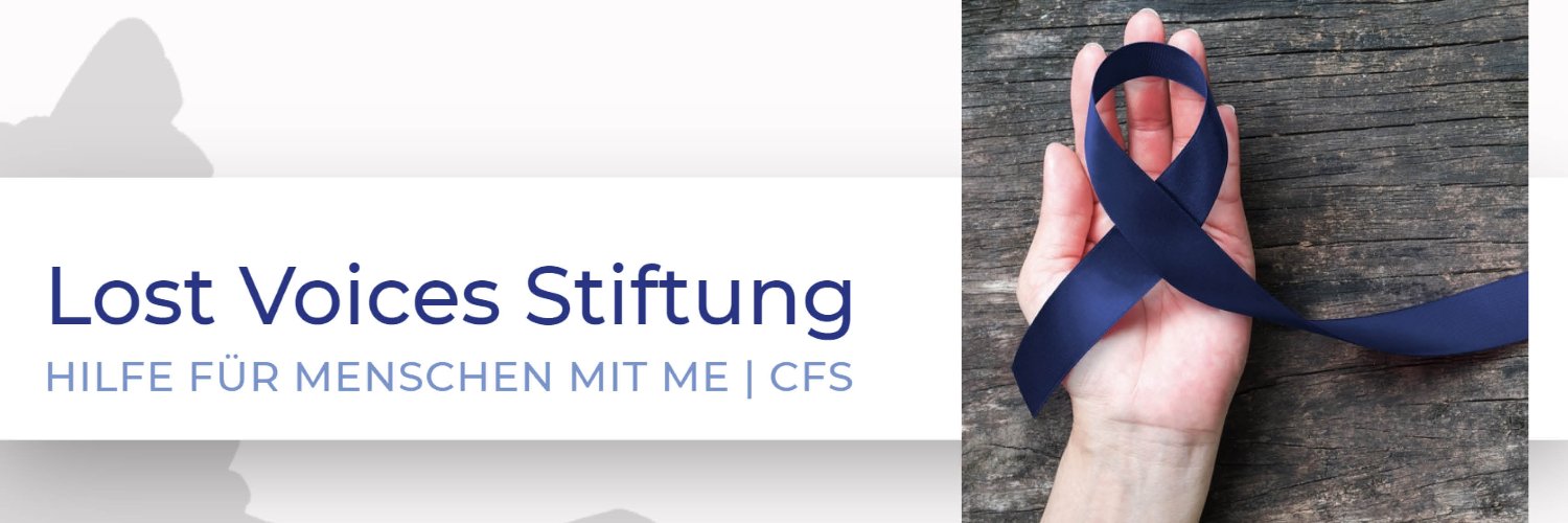 Lost Voices Stiftung banner