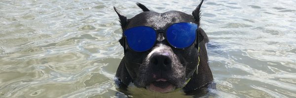 babyslothblood Profile Banner