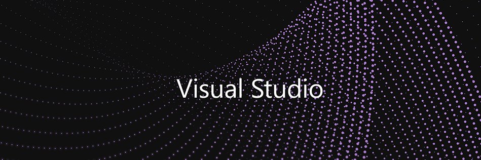 Visual Studio Debugger's banner