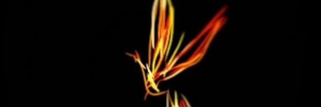 BellaKristabel's profile banner image