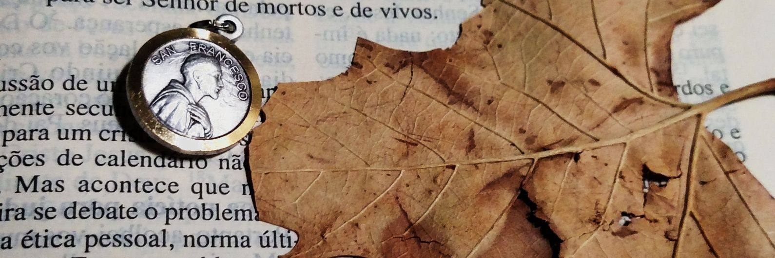 emanoelsh's profile banner image