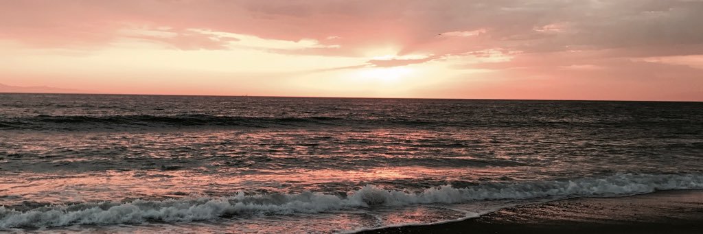 MurphyKayleen's profile banner image