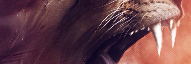 straughton86's profile banner image