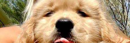 Toobie_'s profile banner image