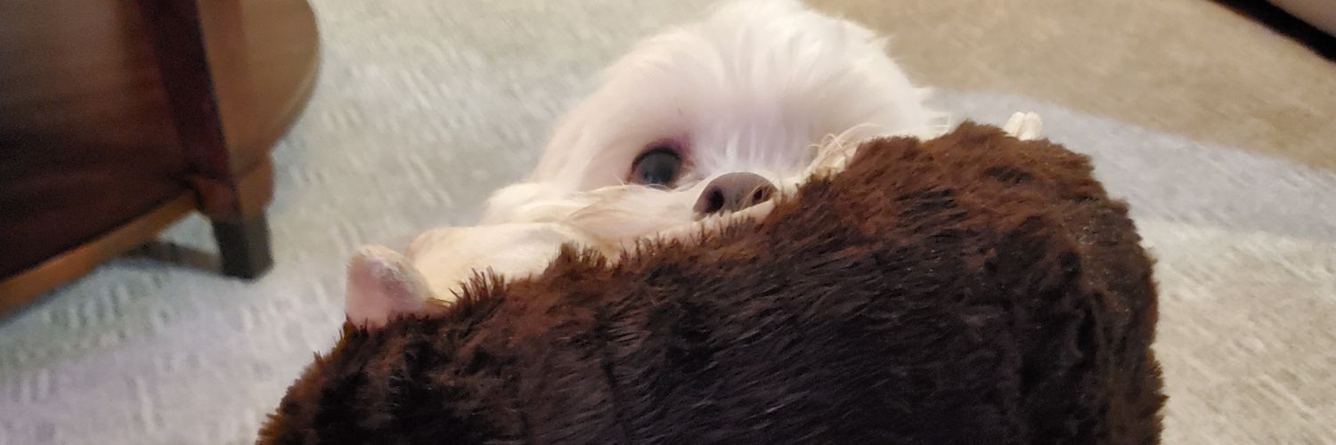 DebbZimmer's profile banner image