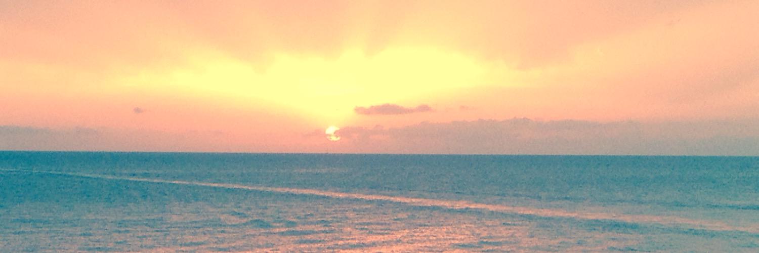 Sammyhotdog's profile banner image