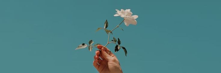 __andrada's profile banner image