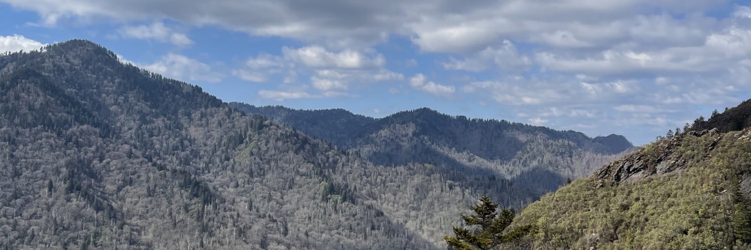 levistevens30's profile banner image